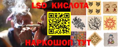 прущие крисы Северобайкальск