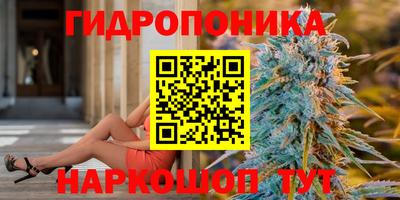 стафф Севастополь