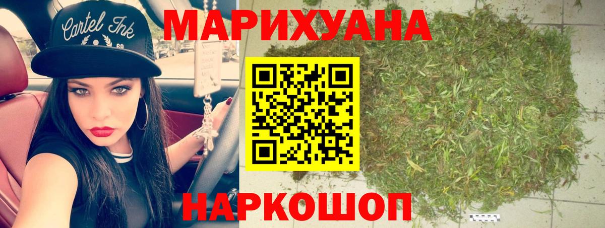 Конопля конопля Новотроицк